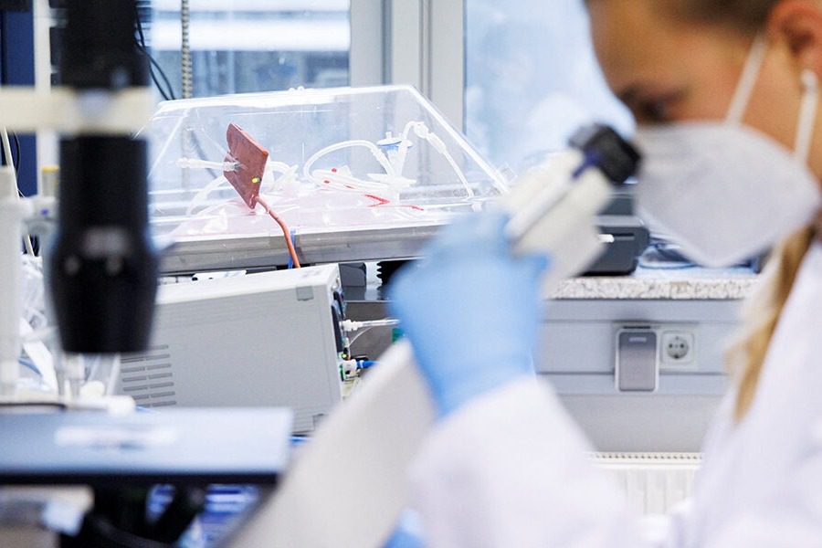 Ευλογιά των πιθήκων: Πρώτο κρούσμα στην Ελλάδα