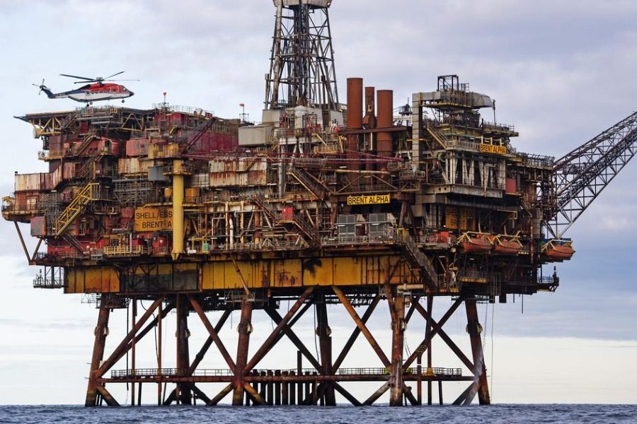 Γάτος είχε χαθεί για 5 χρόνια και βρέθηκε σε εξέδρα εξόρυξης πετρελαίου