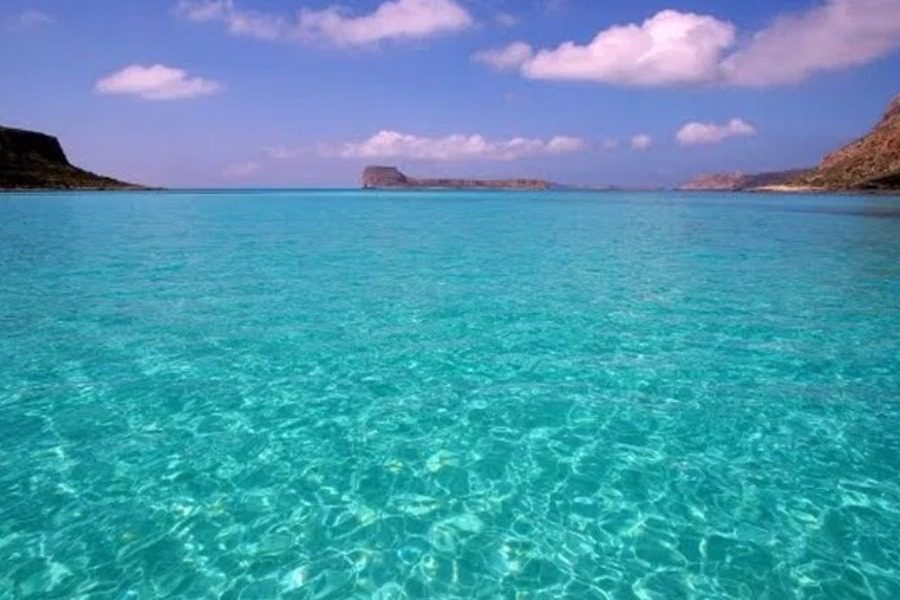 Δηλητηριώδες ψάρι επανεμφανίστηκε στα ελληνικά νερά