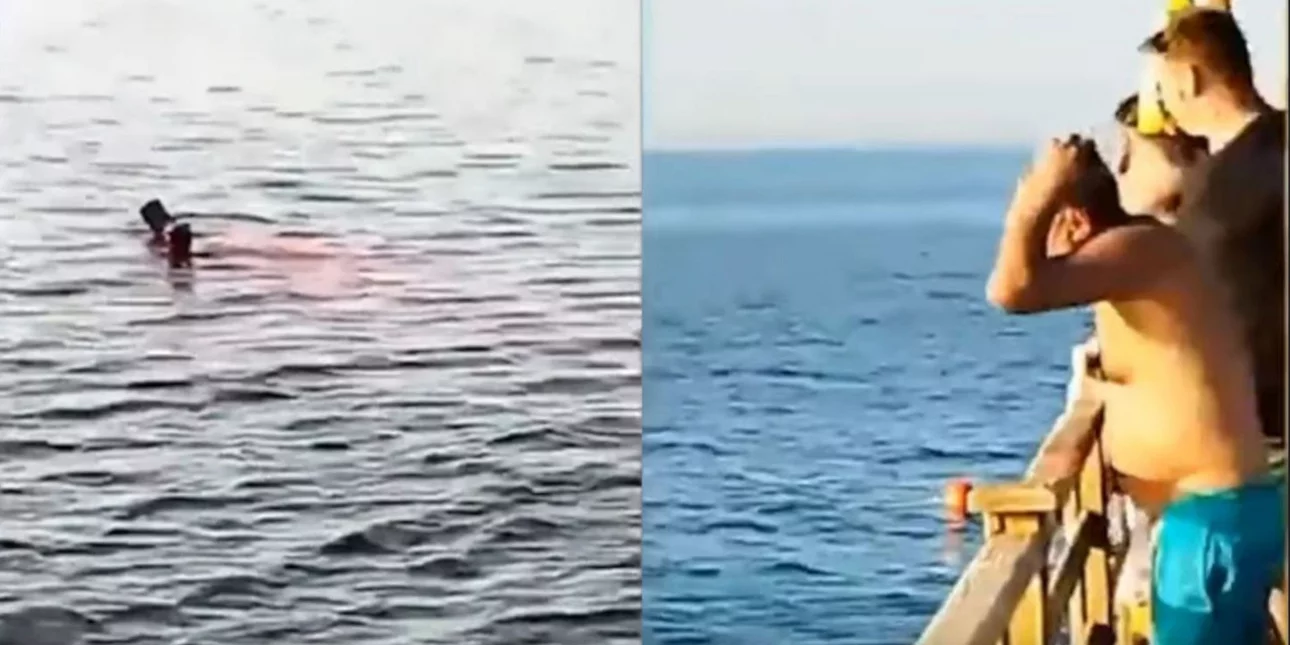 Καρχαρίας κατασπάραξε τουρίστρια μπροστά στα μάτια λουόμενων
