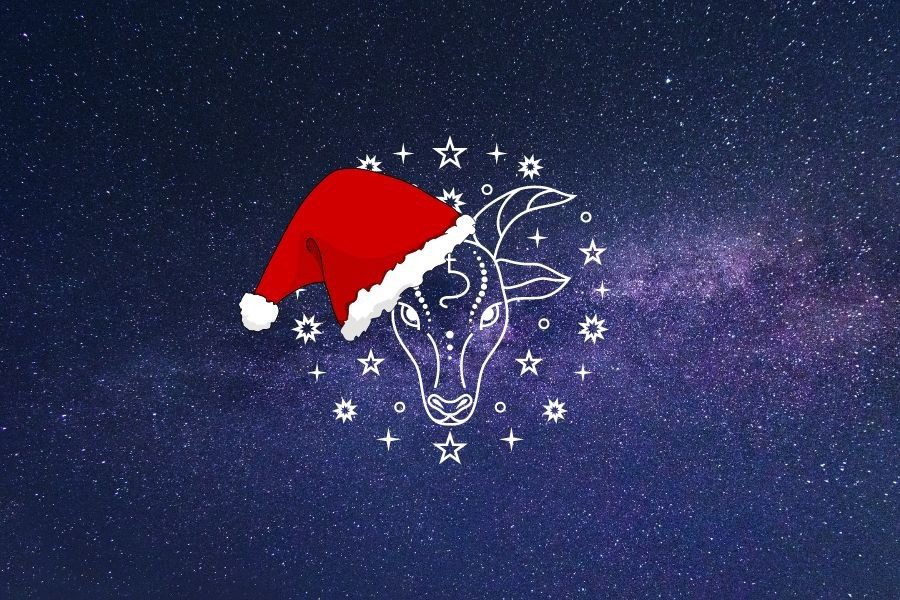Christmas Gifts: Τα καλύτερα δώρα για τους Αιγόκερους