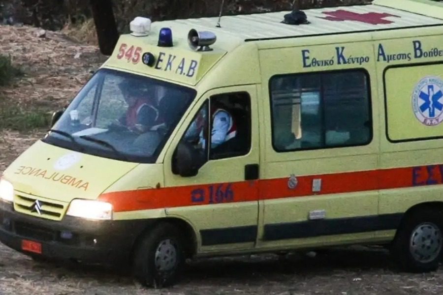 Φρίκη στη Μαγνησία: Τον έφαγαν οι γάτες του