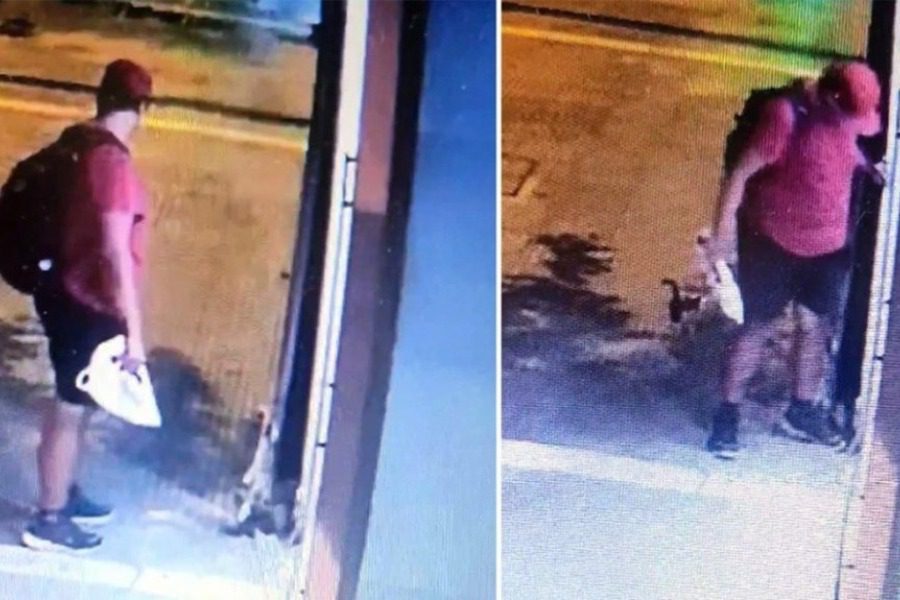 Θεσσαλονίκη: Διδάκτωρ στο ΑΠΘ ο 39χρονος που ποδοπάτησε και σκότωσε το γατάκι