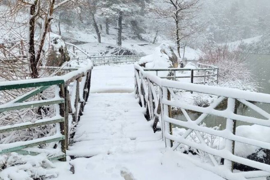 Καιρός: Στα λευκά η Αττική