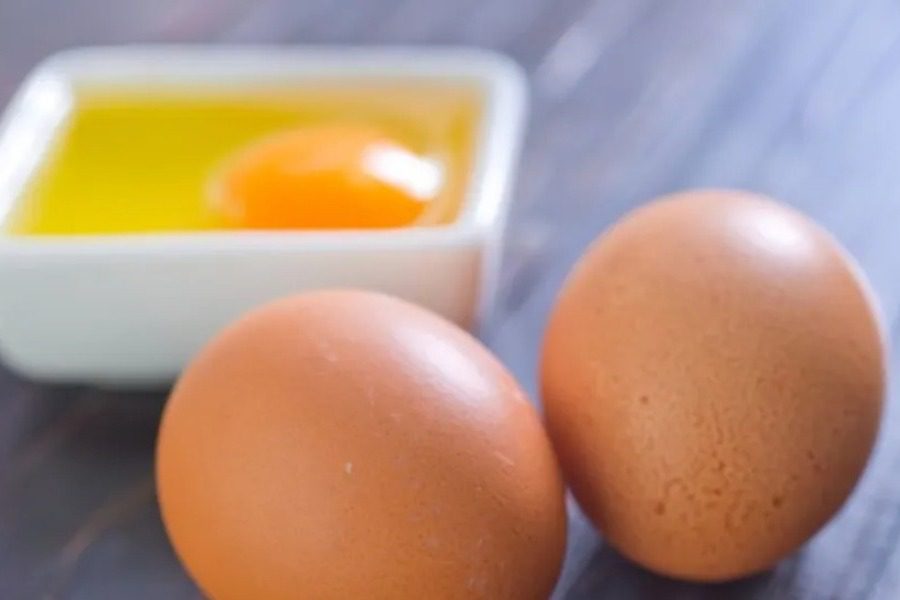 Ανησυχία για τη σαλμονέλα στην Ευρώπη ‑ Επί ποδός οι αρχές στη χώρα μας