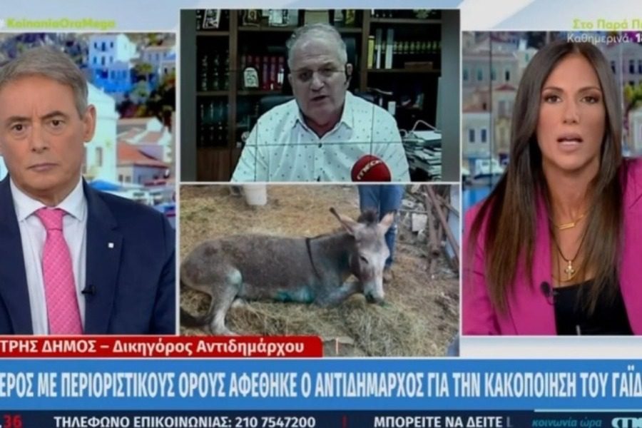 Τα... έχωσε η Βούλγαρη για το γαιδαράκο: «Δεν θα μας βγάλετε τρελούς!»
