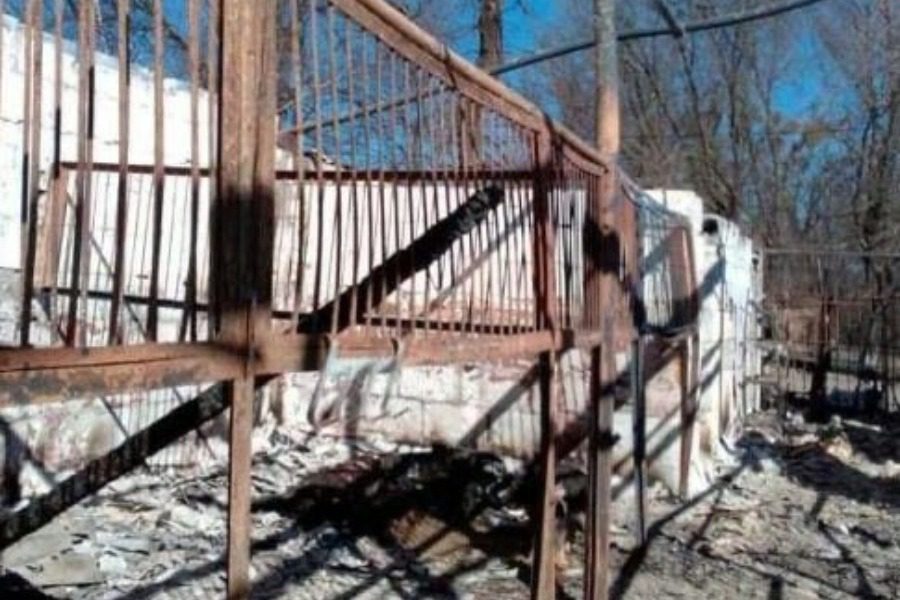 Ουκρανία: Πυρπόλησαν στάβλο στο Γκοστόμελ ‑ Κάηκαν ζωντανά άλογα