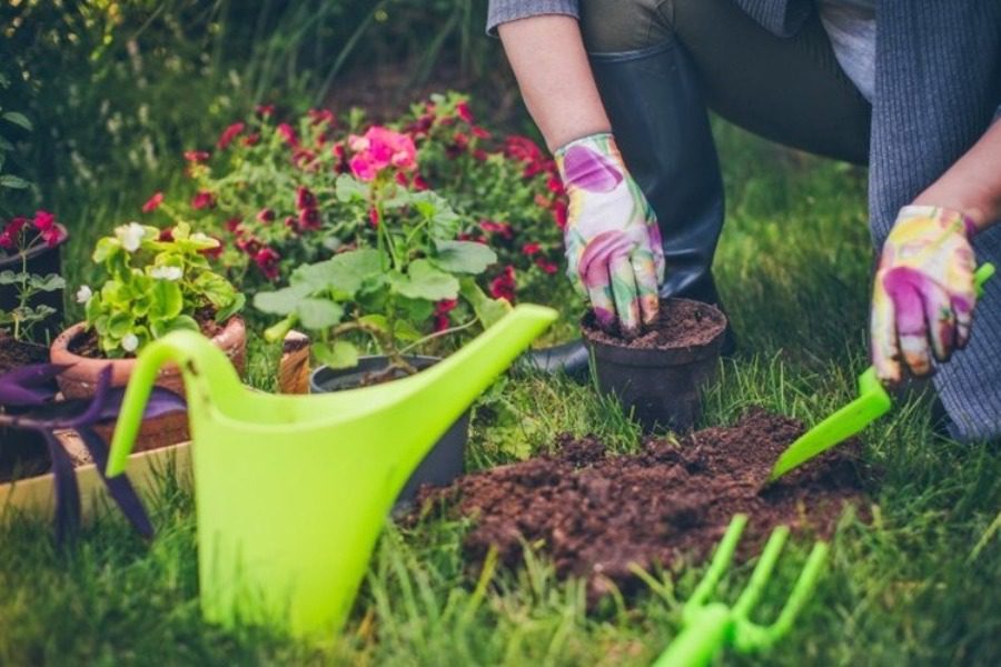 Πώς φτιάχνουμε κήπο με ανθισμένα λουλούδια όλο τον χρόνο;