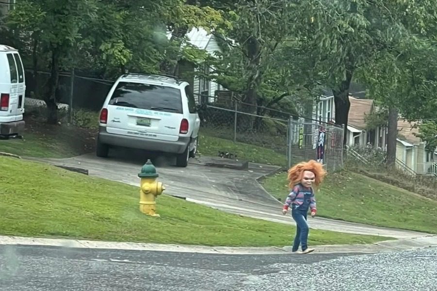 Ο «Τσάκι» βγήκε βόλτα και προκάλεσε τρόμο στους γείτονες