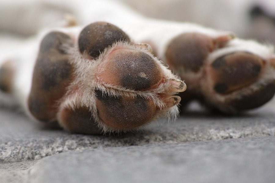 Εικόνες φρίκης στο Ρέθυμνο