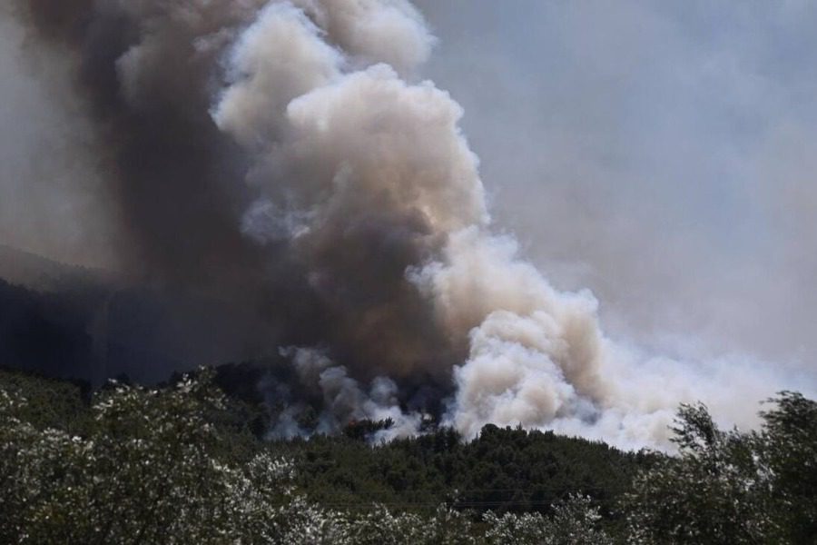 Έκτακτη ενημέρωση της Πυροσβεστικής: 65 δασικές πυρκαγιές σε ένα 24ωρο