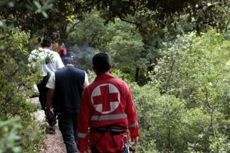 Σε ναυτικό από τη Λάρισα ανήκει η καμένη και κατασπαραγμένη από ζώα σορός