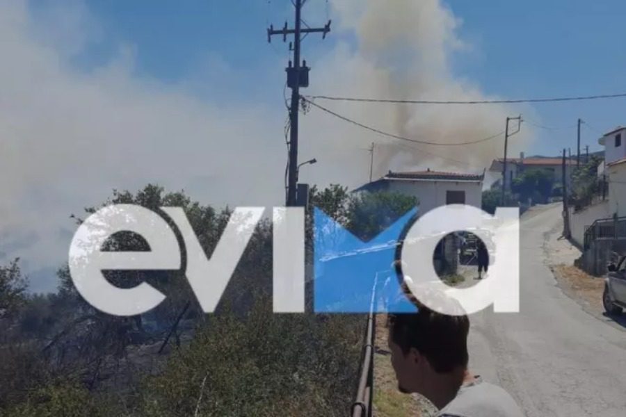 Εύβοια: Η φωτιά έχει φτάσει στην είσοδο του χωριού και καίει πεύκα