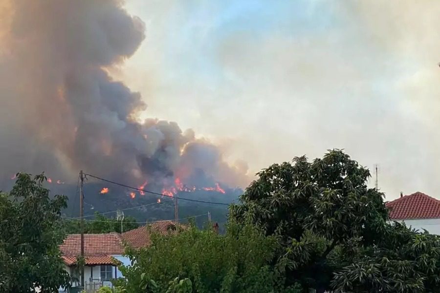 Φωτιά στον Έβρο: Δραματική η κατάσταση στο προστατευόμενο δάσος της Δαδιάς ‑ Μεγάλη οικολογική καταστροφή