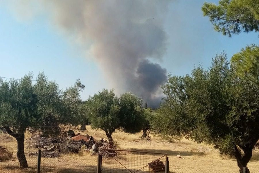 Φωτιά τώρα στη Μάνδρα: Εκκενώνονται Νέα Ζωή και Νέος Πόντος