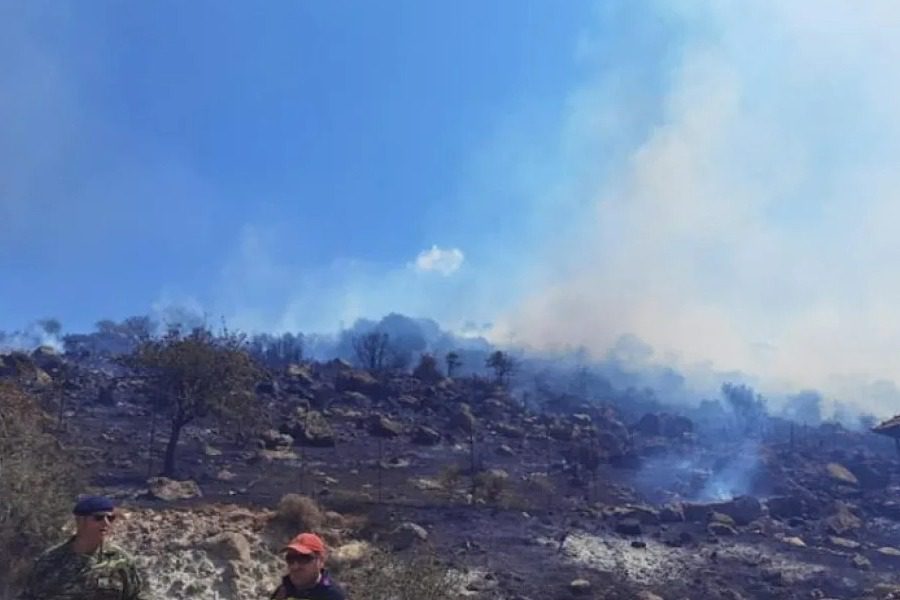 Φωτιά στη Λέσβο ‑ Επιχειρούν ισχυρές πυροσβεστικές δυνάμεις για να μην απειληθεί δάσος