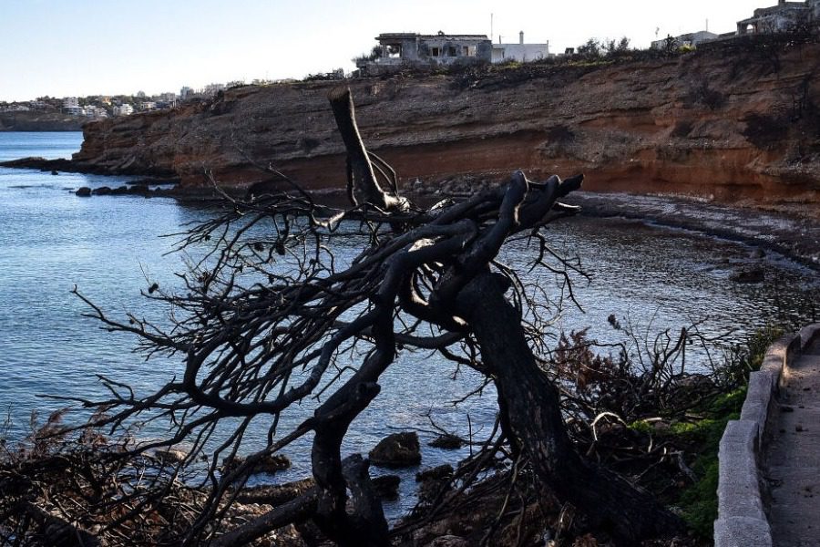 Δίκη στο Μάτι: «Έκαψαν το παιδί μου, τους γονείς μου και τον αδερφό μου στον βωμό των φιλοδοξιών» κατέθεσε μάρτυρας