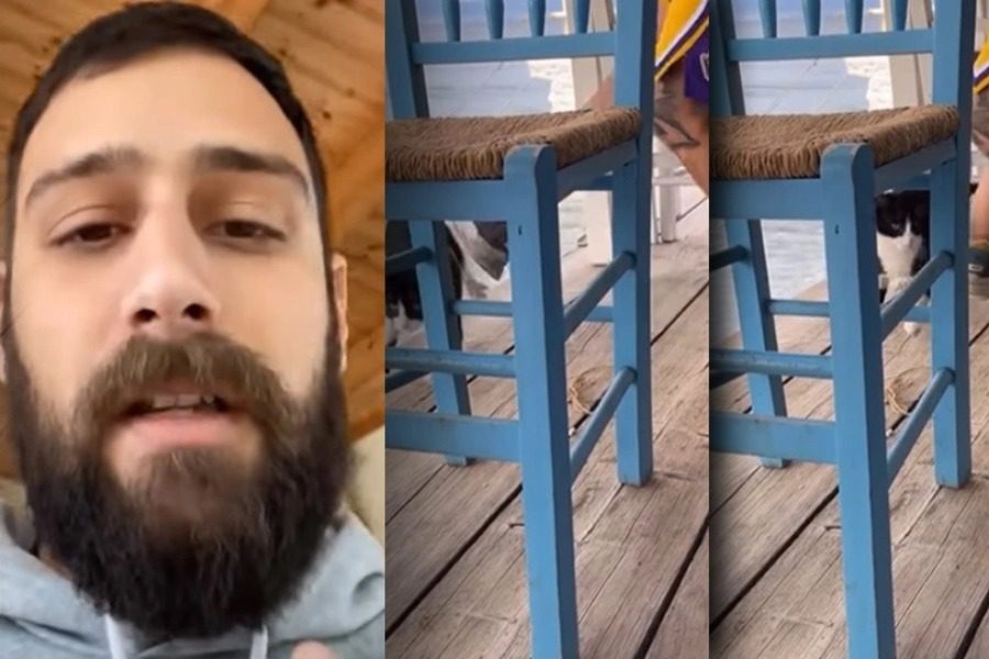 Χαλκίδα: Στις 16 Μαΐου η δίκη του 30χρονου που κλώτσησε το γατάκι 