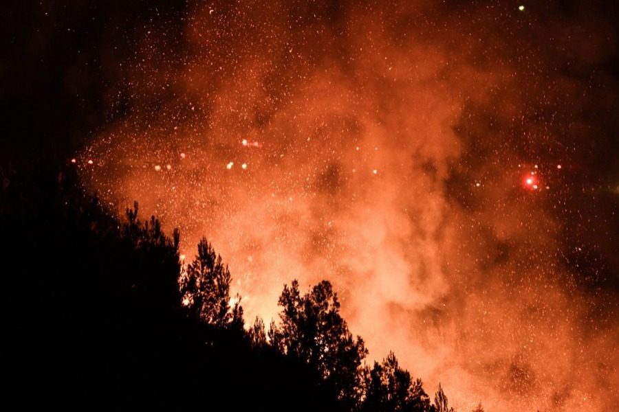 Σοκ:  Αύξηση 750% στις δασικές πυρκαγιές το πρώτο τρίμηνο του 2022