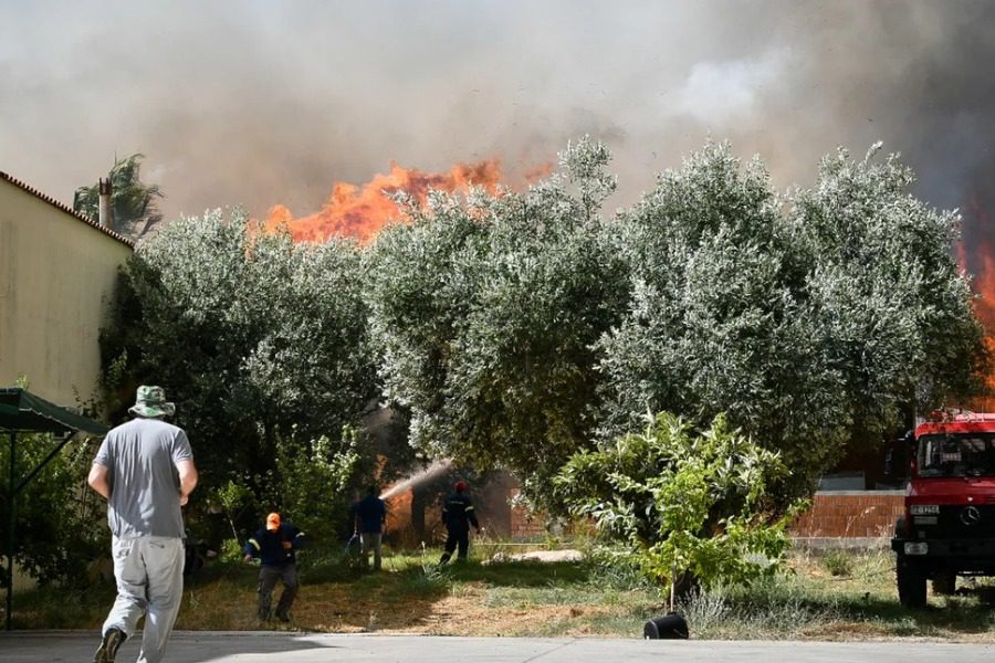 Δύσκολη νύχτα στην Ηλεία: «Η φωτιά μάς περικύκλωσε σε 10 λεπτά, όπως το 2007»