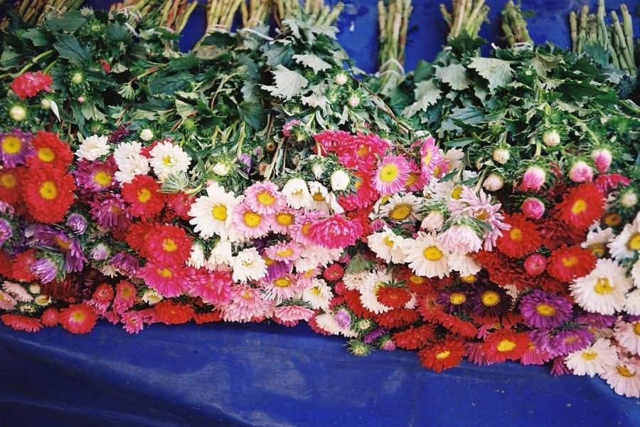 Αγαπάς τα λουλούδια; Σε αυτά τα μέρη της Αθήνας τα αγοράζεις πιο οικονομικά 