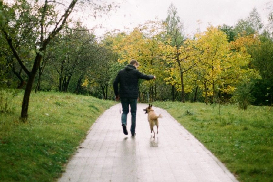 4 τρόποι με τους οποίους τα σκυλιά επηρεάζουν θετικά την ψυχική σου υγεία