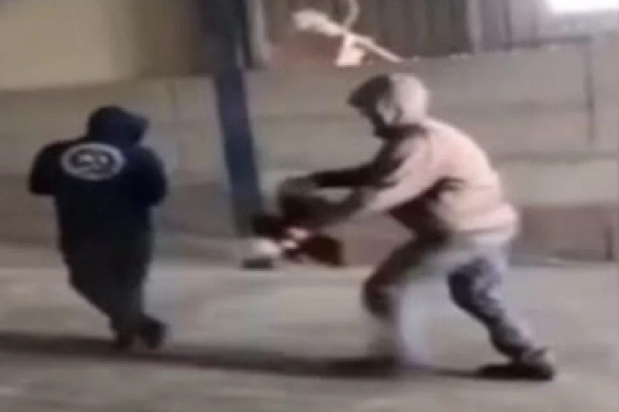 Εύβοια: Νέα υπόθεση κακοποίησης ζώου