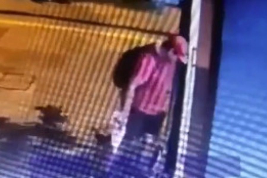 Θεσσαλονίκη: Τσαλαπάτησε γατάκι μέχρι θανάτου και έφυγε ανενόχλητος