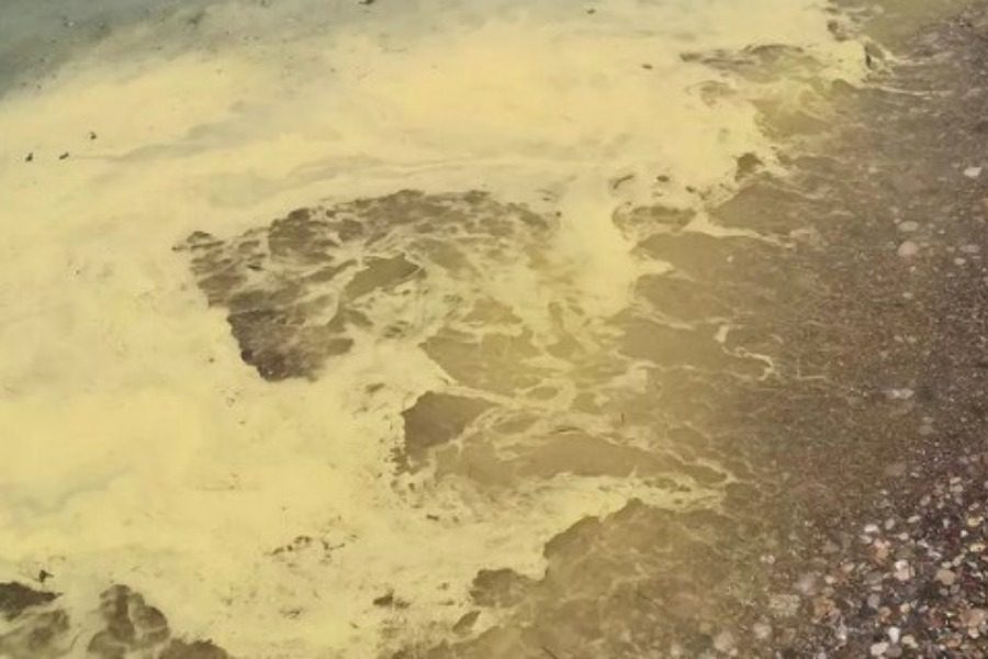 Πάτρα: Κιτρίνισε η θάλασσα στις παραλίες της πόλης – Ανησύχησαν οι πολίτες