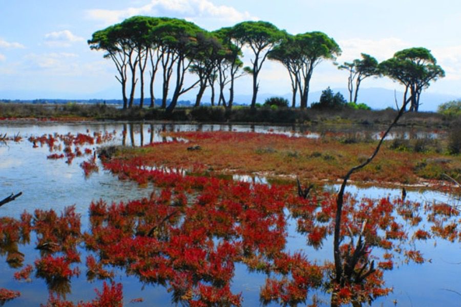 Θα μπορούσε να είναι τοπίο στην Κένυα, κι όμως είναι στην Ελλάδα