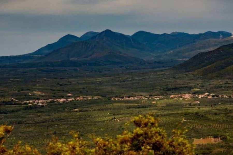 Το χωριό Κρεμμύδια της Μεσσηνίας που μπήκε στο βιβλίο Γκίνες