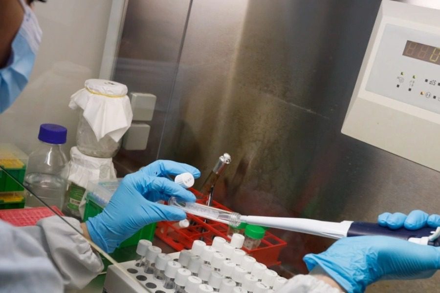 Ψαλτοπούλου: Τι πρέπει να προσέχουμε για την ευλογιά των πιθήκων 