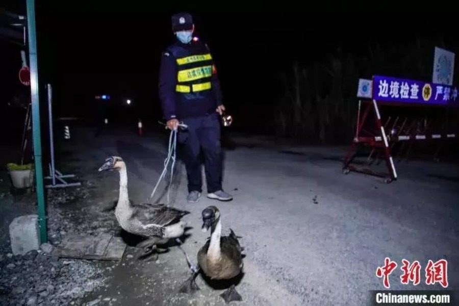 Το κρυφό όπλο των κινεζικών αρχών για να κρατούν τους παράνομους μετανάστες μακριά