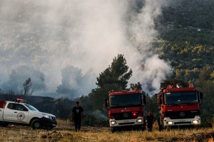Στάχτη 20.350 στρέμματα στην Πεντέλη ‑ Ξεκίνησαν οι αυτοψίες στα καμένα