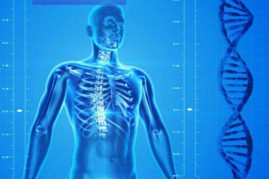 Προσωπικός γιατρός: Ανοίγει 1η Αυγούστου η πλατφόρμα εγγραφής για τους πολίτες