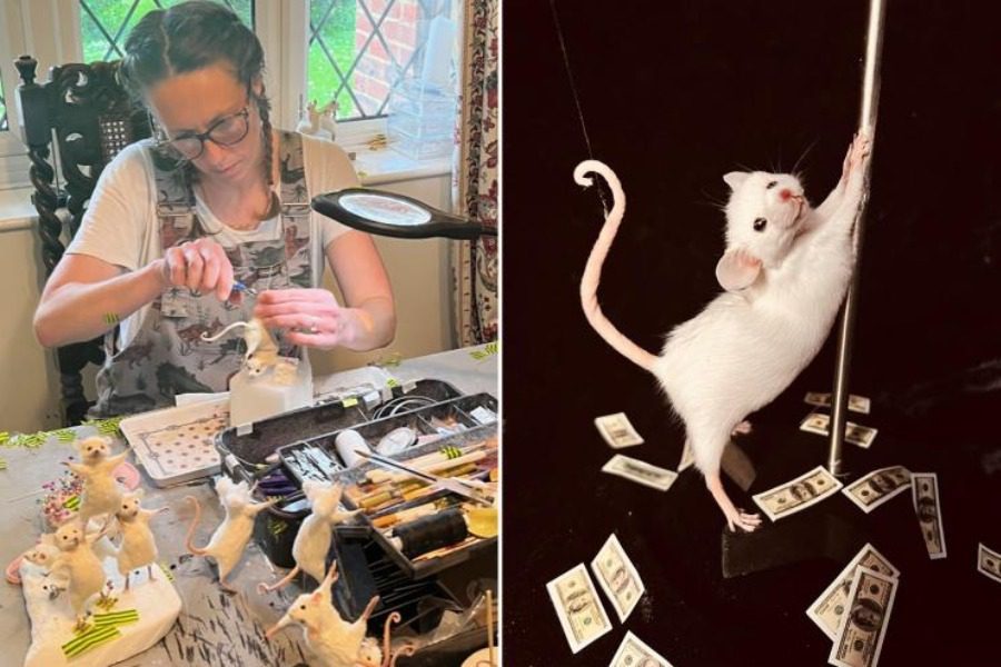 Δεν φαντάζεσαι πόσα χρήματα βγάζει αυτή η γυναίκα ταριχεύοντας ποντικάκια
