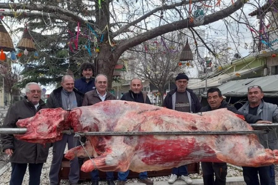 Έβρος: Έχει ανάψει η μεγαλύτερη σούβλα της χρονιάς με μοσχάρι 360 κιλών