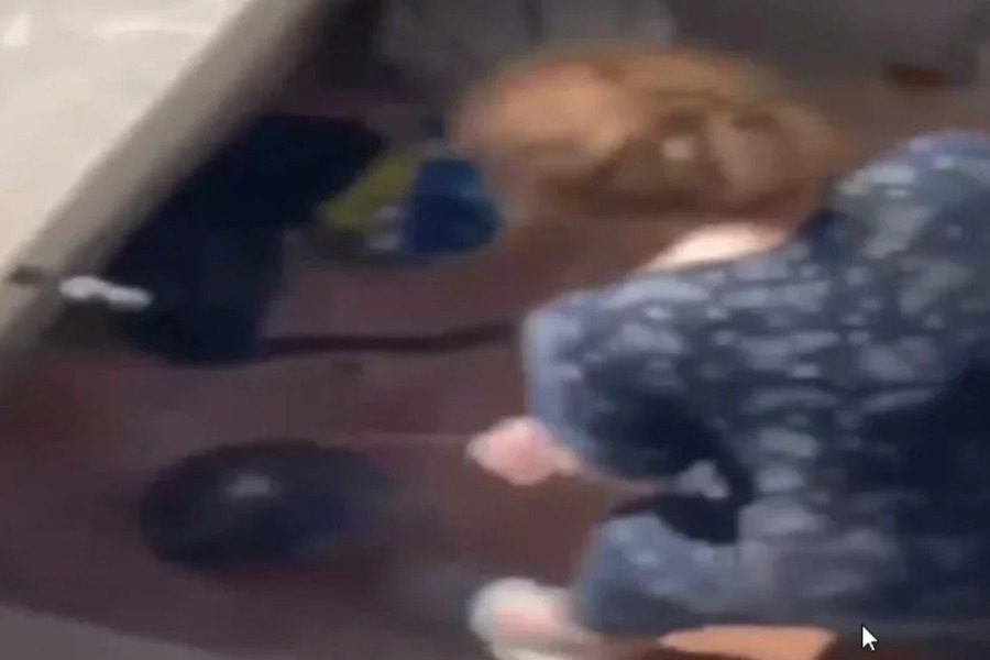 Οργή στη Νίκαια: Ηλικιωμένη κακοποιεί ετοιμοθάνατη γάτα