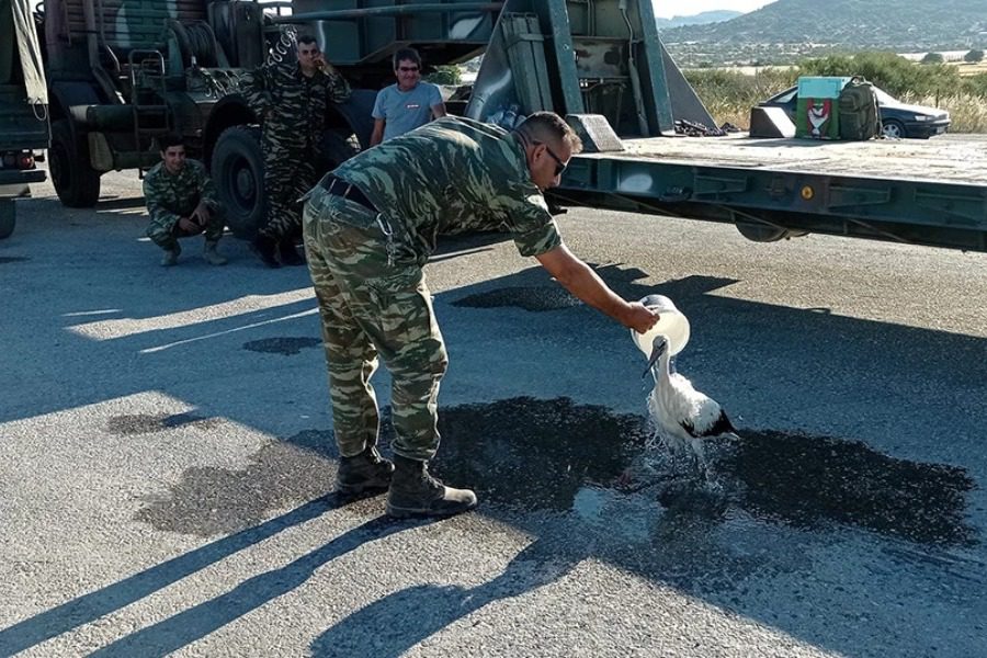 Φωτιά στη Λέσβο: Η στιγμή που στρατιωτικός δίνει νερό σε πελαργό που έχει καεί στα πόδια