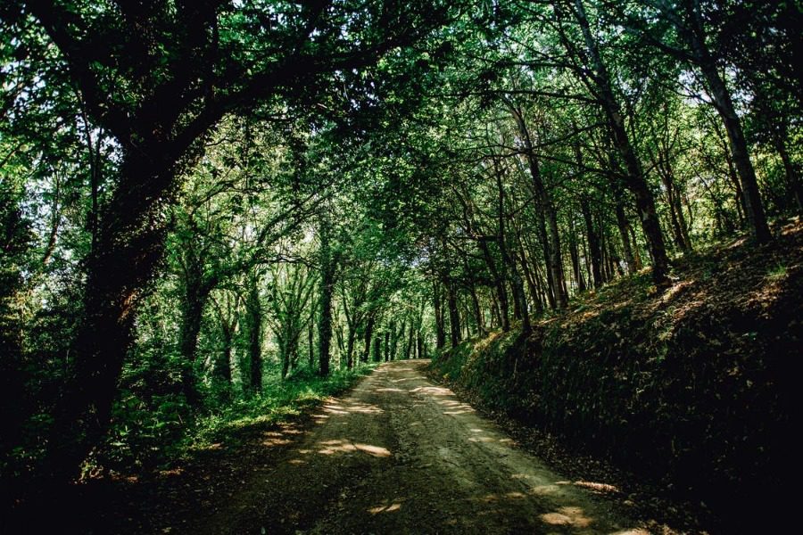 H we4all ενώνει τις δυνάμεις της με την ΕΥΔΑΠ