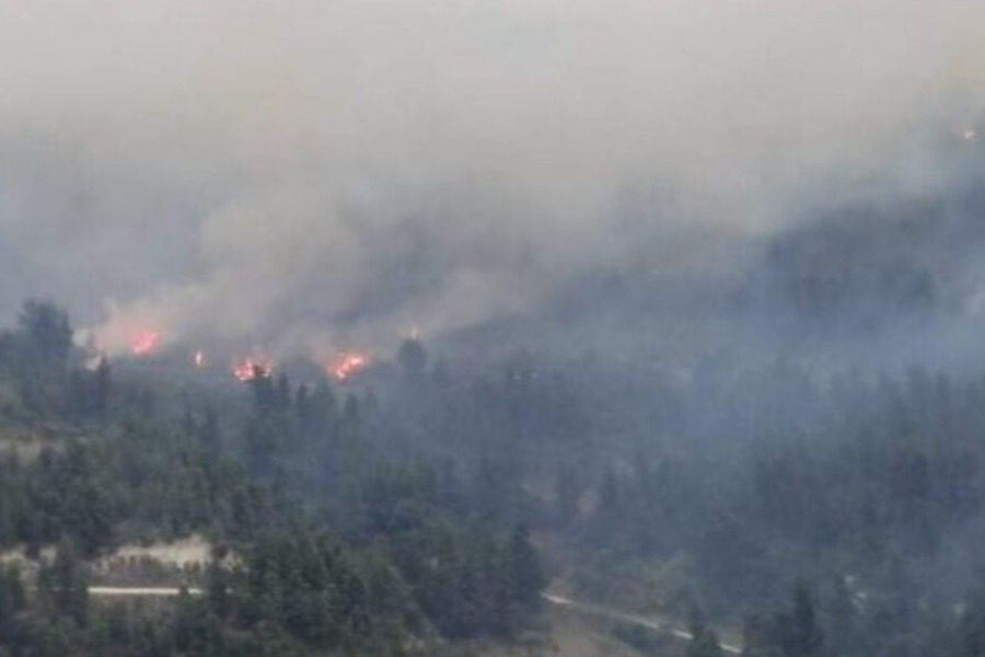Φωτιά στη Χαλκιδική: Οι άνεμοι δυσκολεύουν το έργο της κατάσβεσης στη Μόλα Καλύβα Κασσάνδρας