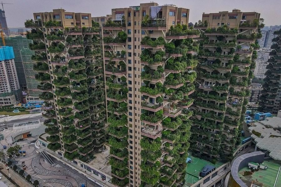 Η πόλη πρότυπο που κατέληξε σαν ταινία Αποκάλυψης