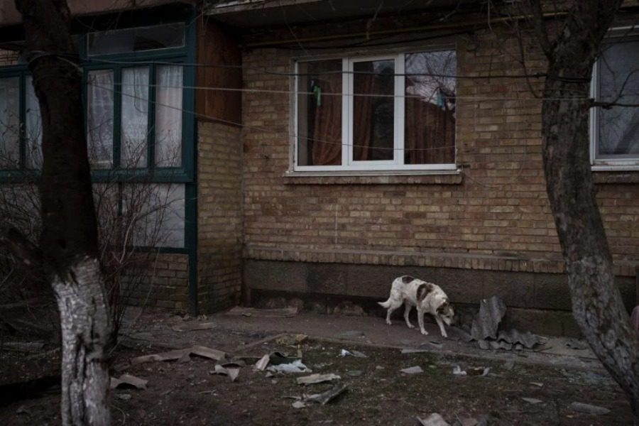 Ουκρανός παρηγορεί τον σκύλο του που παραλύει από τον φόβο του μετά από βομβαρδισμό 