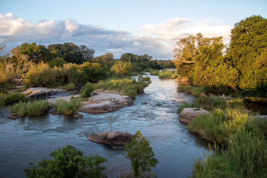 77χρονος λευκός πυροβόλησε 38χρονη μαύρη, υποστήριξε ότι τη «πέρασε για ιπποπόταμο»