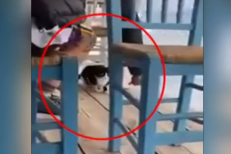 «Η παρέα στέλνει μηνύματα ότι δεν έγινε τίποτα»