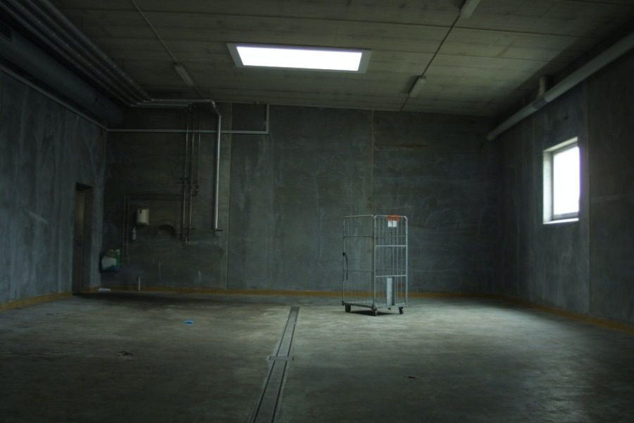 Σeξ αντί για ενοίκιο: Ανάγκαζε άστεγη να κυκλοφορεί με το μπικίνι και την έδενε