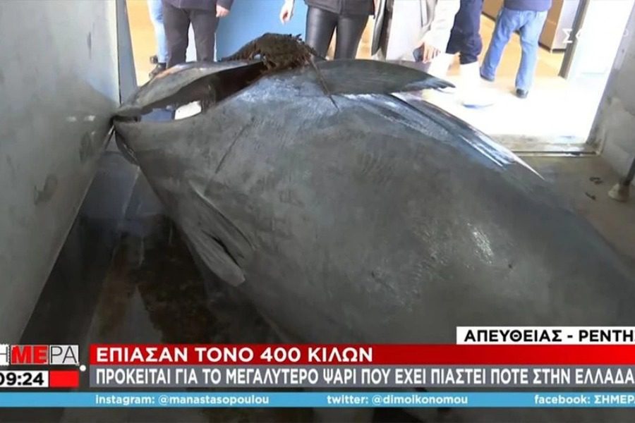 Ιόνιο: Έπιασαν το μεγαλύτερο ψάρι που έχει αλιευτεί την τελευταία δεκαετία στην Ελλάδα