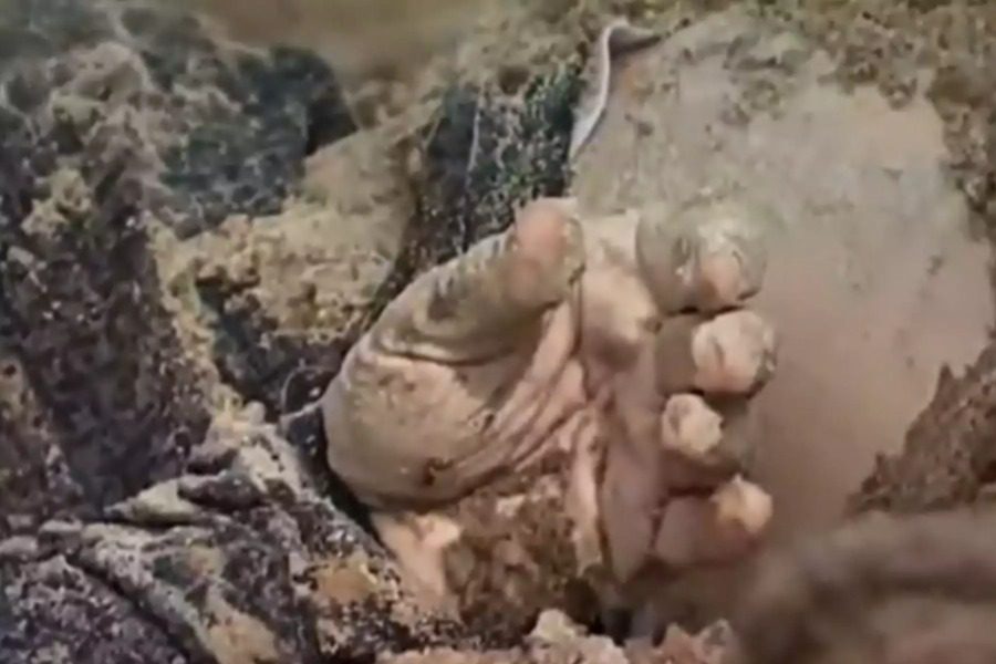 Ουκρανία: Το φρικιαστικό βίντεο που έδειξε ο Βολοντιμίρ Ζελένσκι στον ΟΗΕ