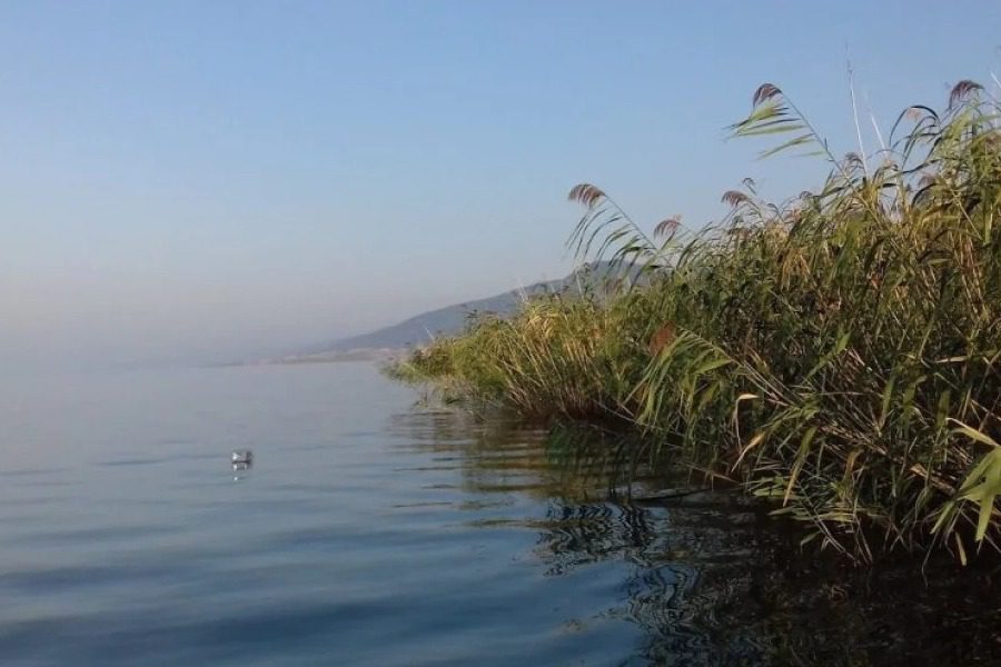 Νεκρός άντρας εντοπίστηκε στη Θεσσαλονίκη