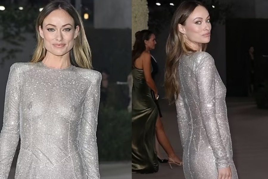 To υπέροχο διάφανο φόρεμα της Olivia Wilde που μας εντυπωσίασε